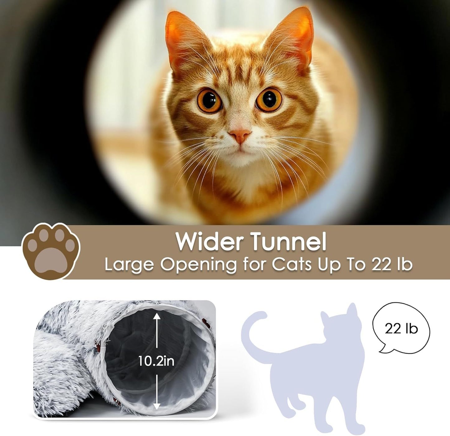 Furry Cat Cave