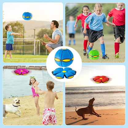 UFO Toy for Dogs