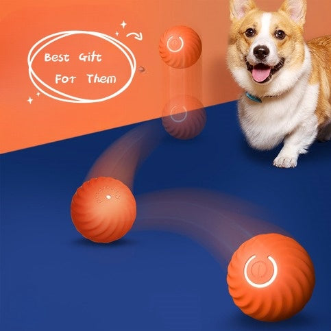 Jumping Ball for Dogs