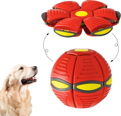 UFO Toy for Dogs