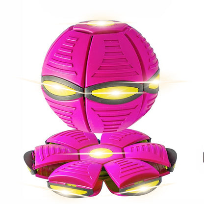 UFO Toy for Dogs