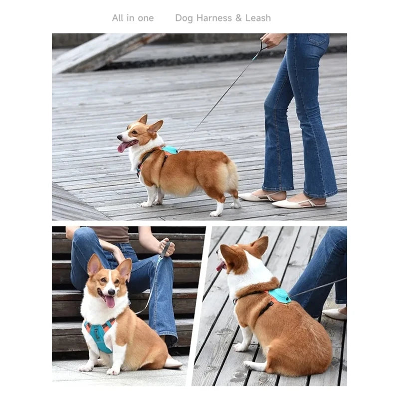 PupLock Harness
