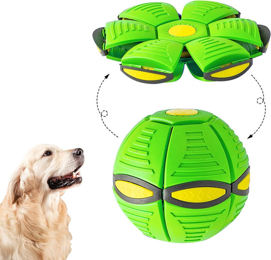 UFO Toy for Dogs