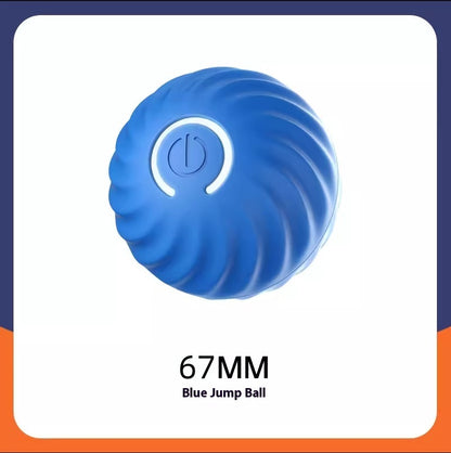 Jumping Ball for Dogs