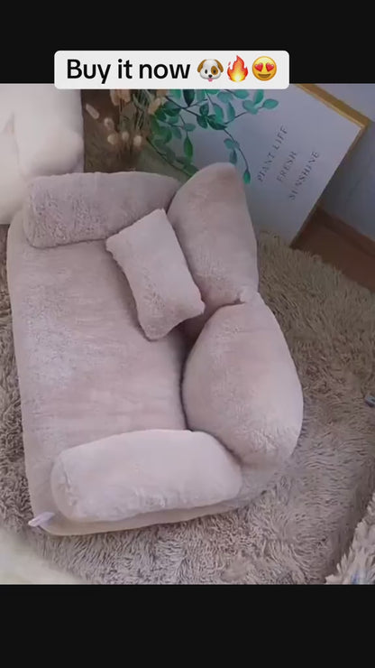 Luxury Bed cum Sofa for Pets