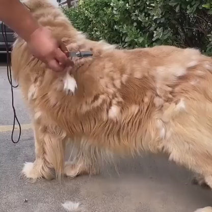 Stainless Double-sided Pet Brush Hair Remover