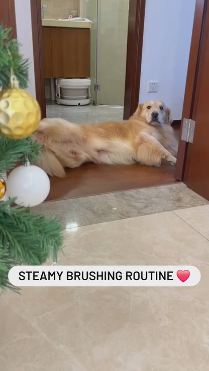 Cat & Dog Steam Brush