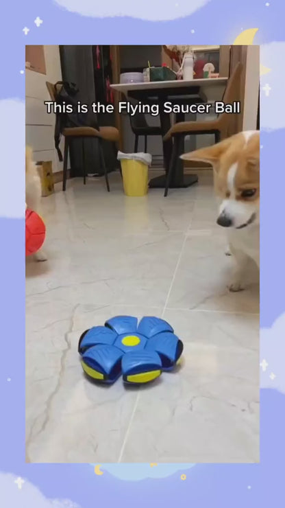 UFO Toy for Dogs