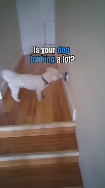 Anti Barking Device